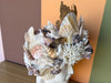 Custom Large Shell Bust