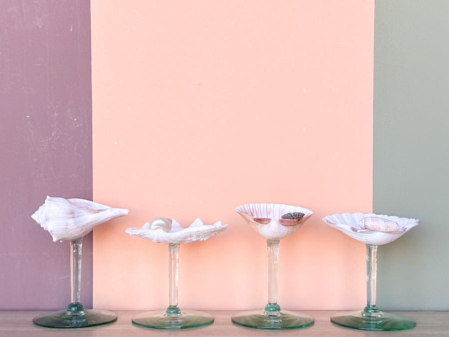 Set of Four Seafoam Shell Coupes