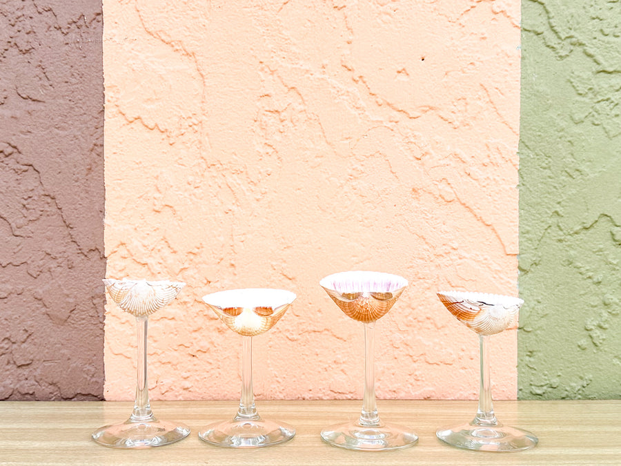 Set of Four Mixed Shell Coups