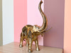 Large Brass Elephant