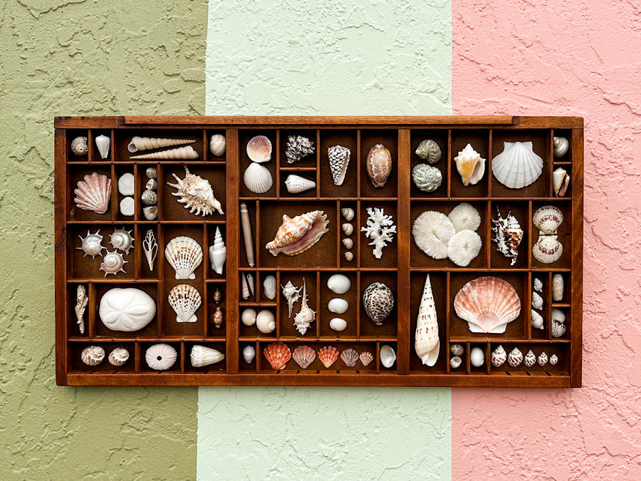 Printers Tray Shell Display