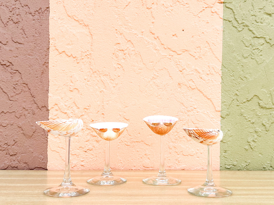 Set of Four Mixed Shell Coups