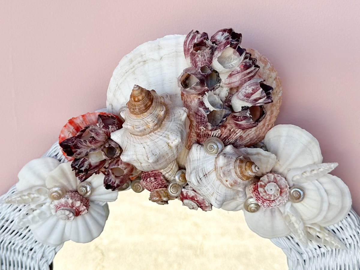 Cute Wicker Shell Mirror