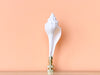 White Spindle Shell Finial