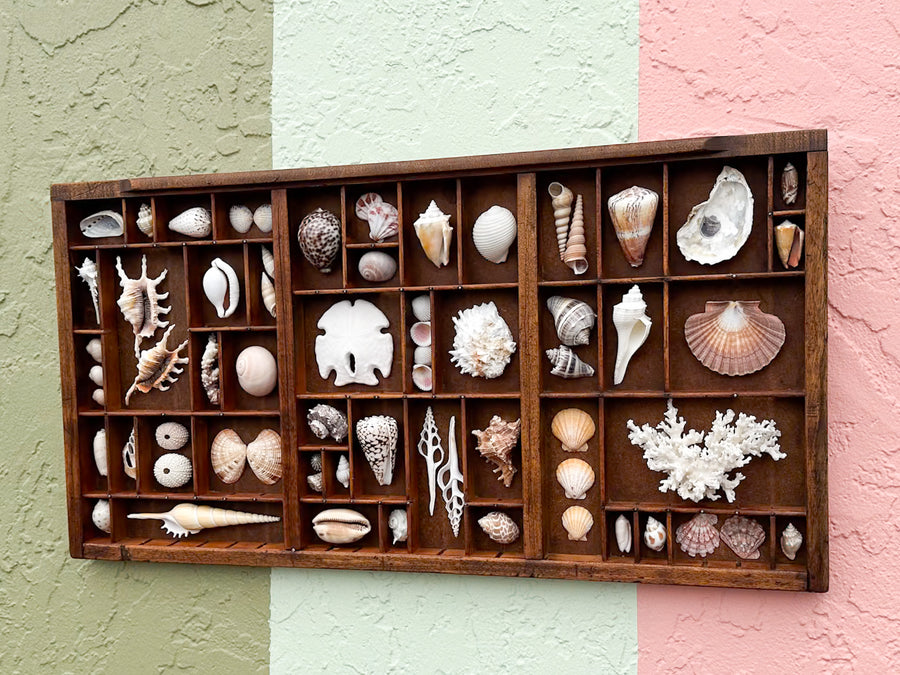 Printers Tray Shell Display