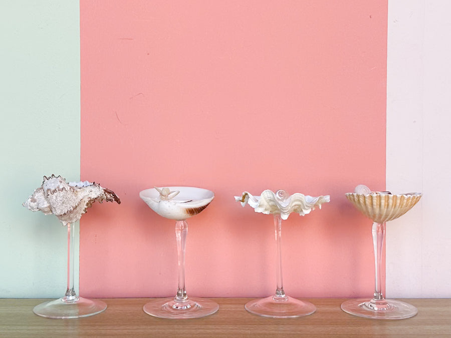 Set of Four Shell Coupes