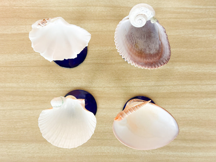 Set of Four Green and Blue Stem Shell Coupes