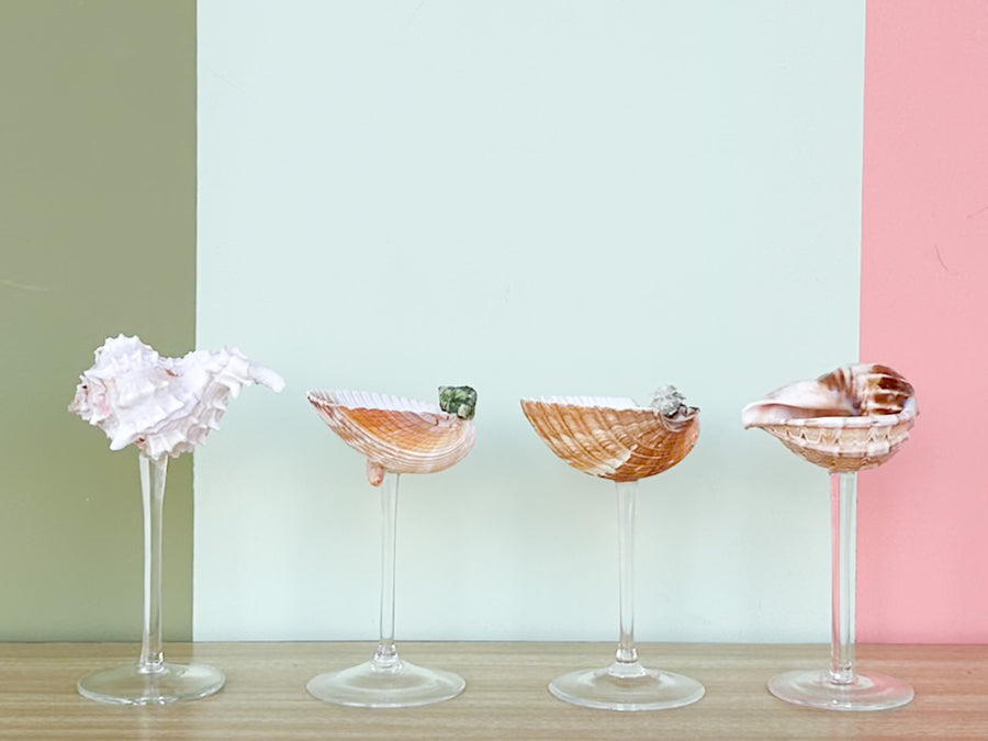 Set of Four Shell Chic Coupes