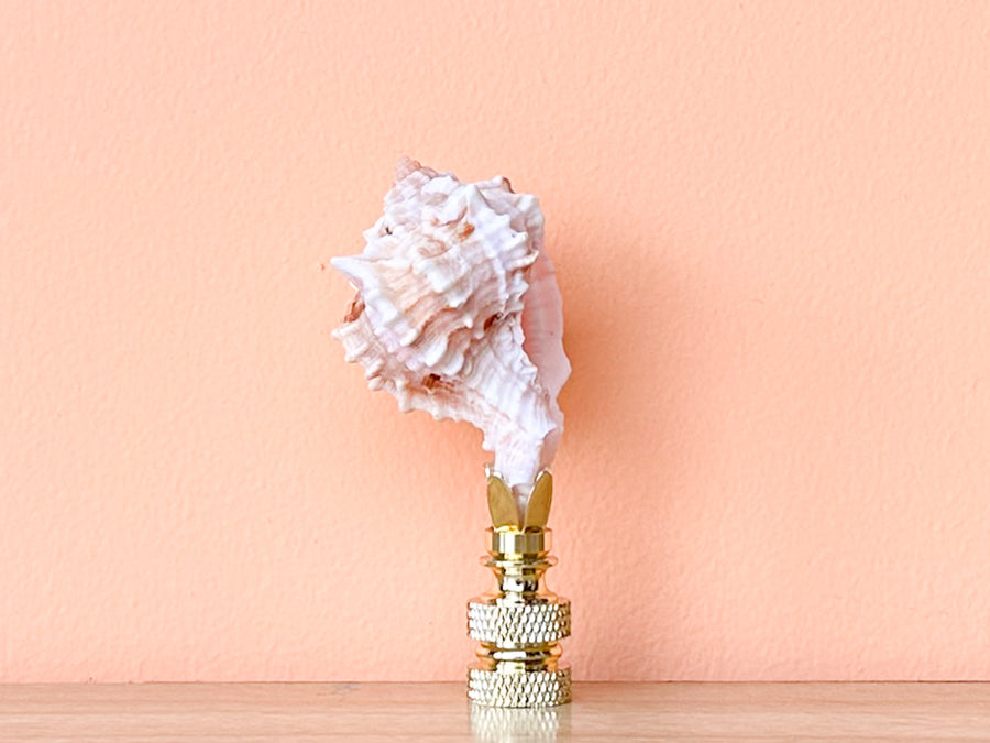 Petite Murex Pink Shell Finial
