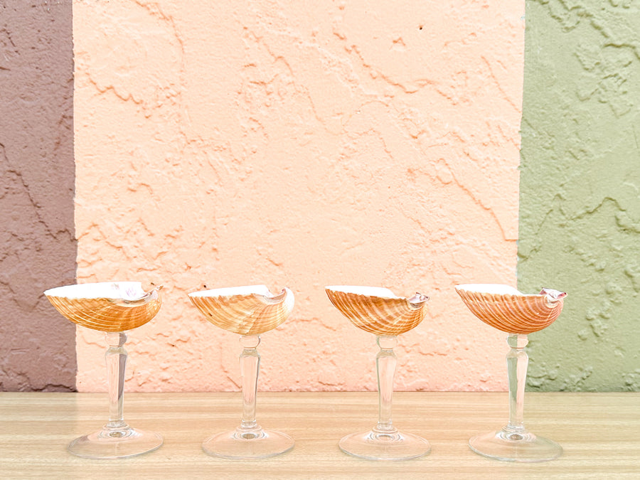 Set of Four Natural Shell Coups