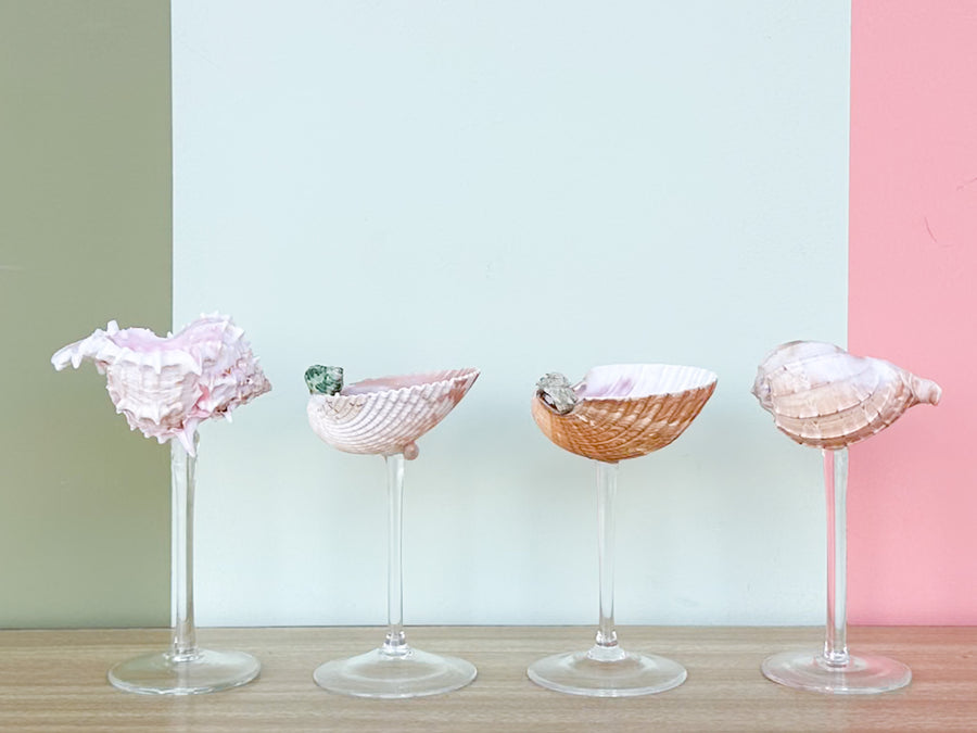 Set of Four Shell Chic Coupes