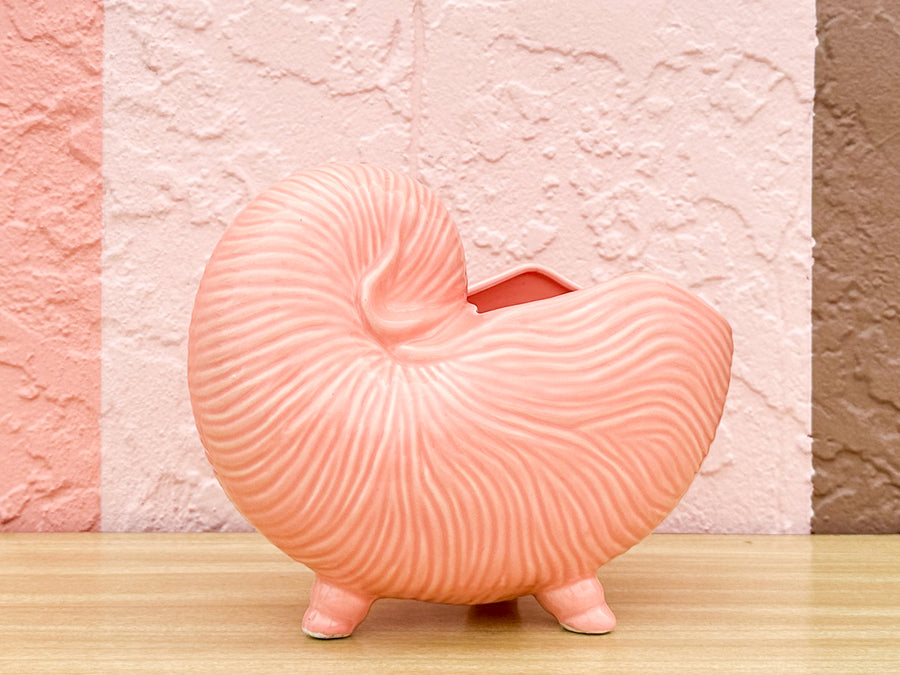 Pink Nautilus Cachepot