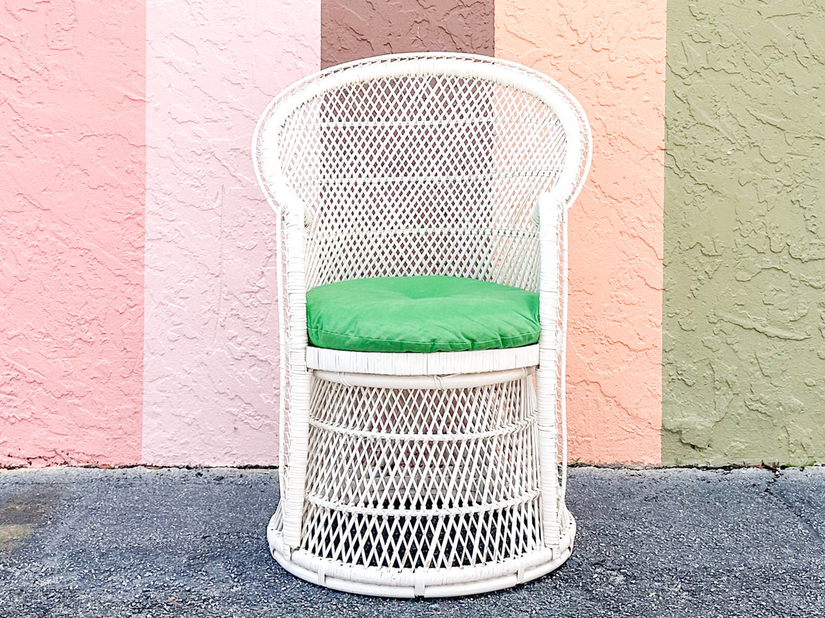 Cute Painted Buri Rattan Chair