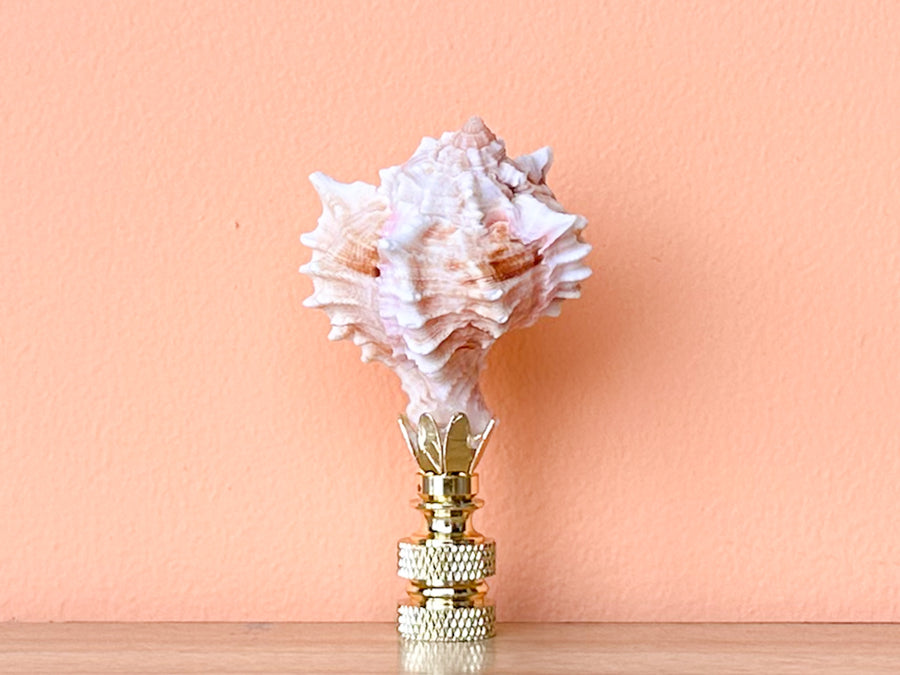 Petite Murex Pink Shell Finial