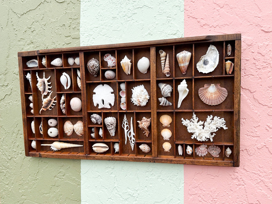 Printers Tray Shell Display
