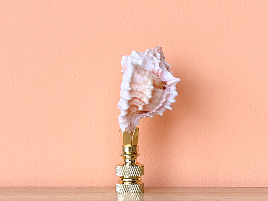 Petite Murex Pink Shell Finial