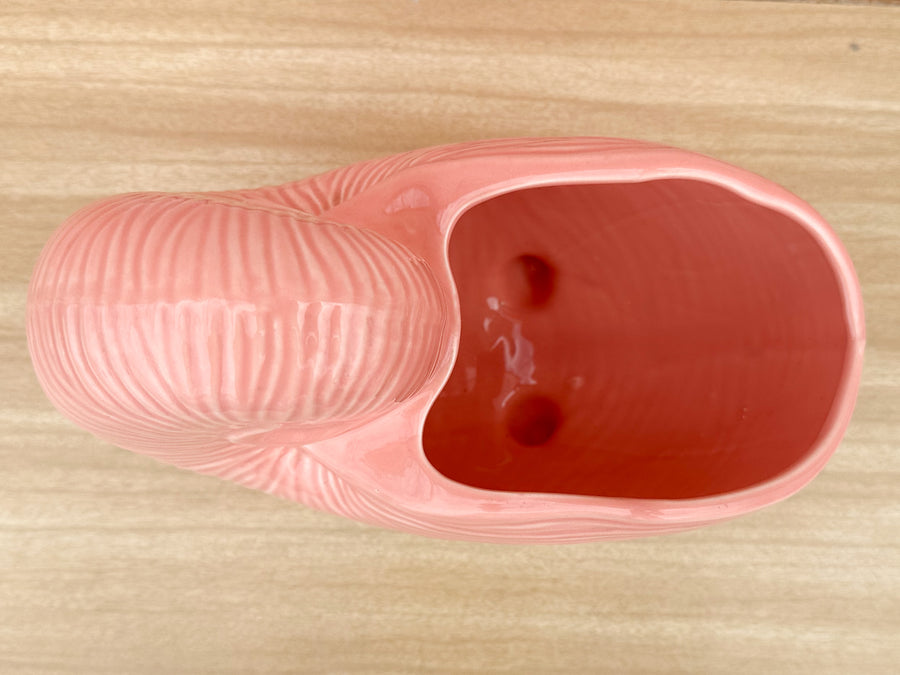 Pink Nautilus Cachepot
