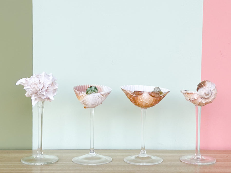 Set of Four Shell Chic Coupes