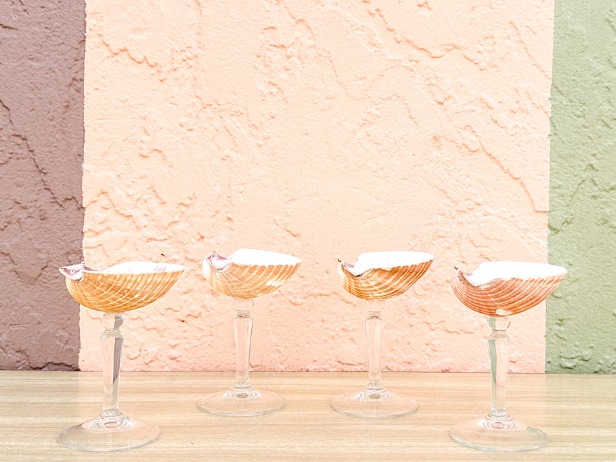 Set of Four Natural Shell Coups