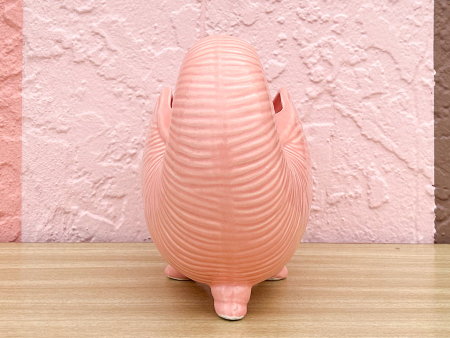 Pink Nautilus Cachepot