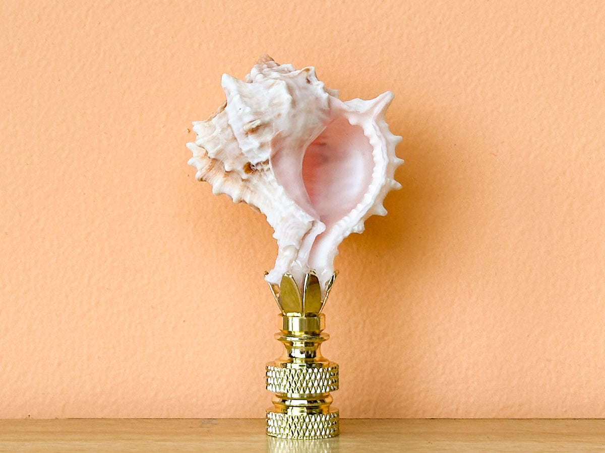 Petite Murex Pink Shell Finial