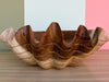 Small Hand Carved Teak Clam Shell