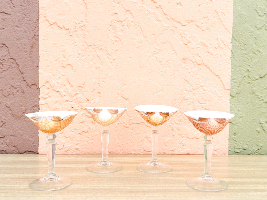 Set of Four Natural Shell Coups