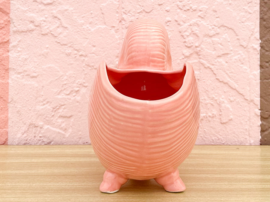 Pink Nautilus Cachepot