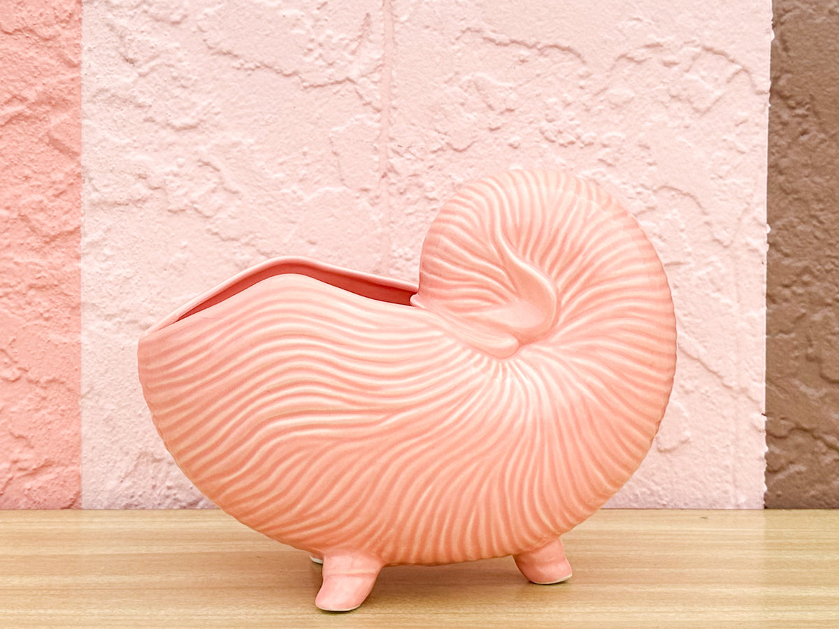 Pink Nautilus Cachepot