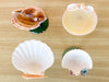 Set of Four Colorful Shell Coupes