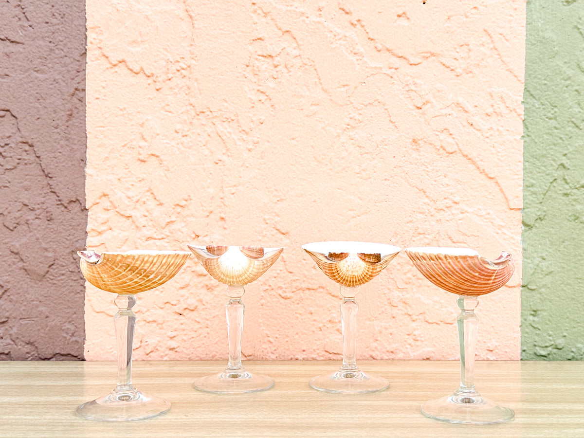 Set of Four Natural Shell Coups