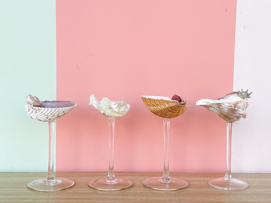 Set of Four Shell Chic Coupes