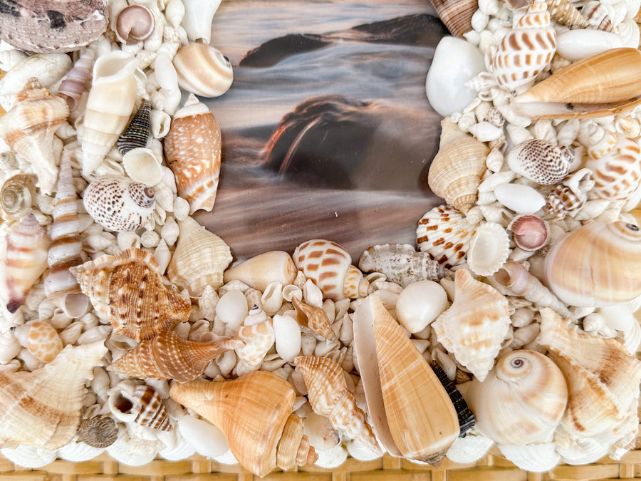 Colorful Shell Frame