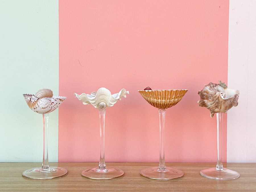 Set of Four Shell Chic Coupes
