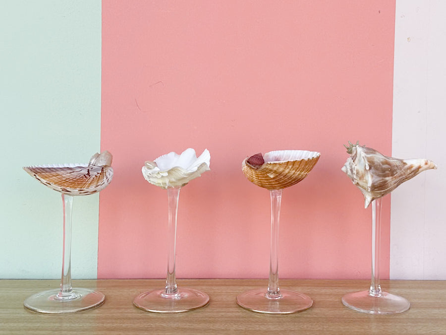 Set of Four Shell Chic Coupes