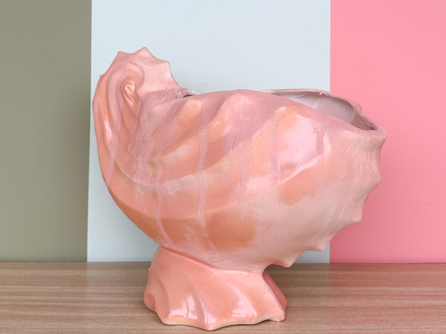 Peach Nautilus Shell Cachepot
