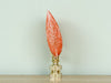 Coral Scallop Shell Finial