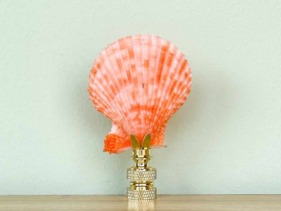 Coral Scallop Shell Finial