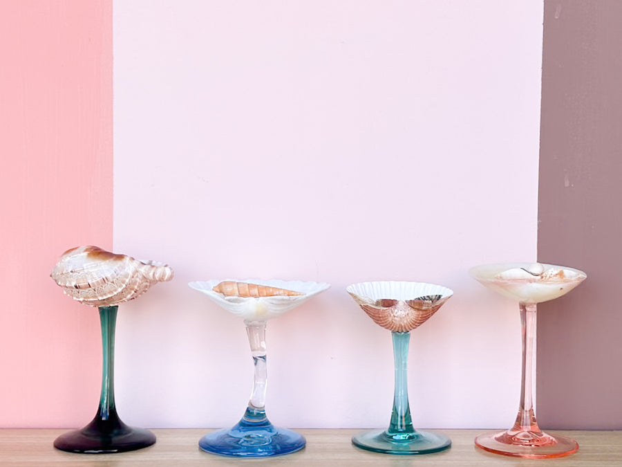 Set of Four Colorful Shell Coupes