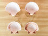 Set of Four Natural Shell Coups