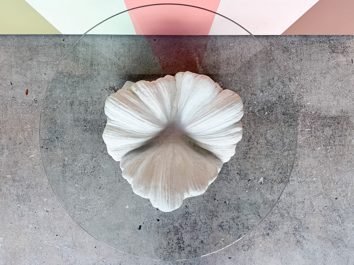 Plaster Shell Coffee Table