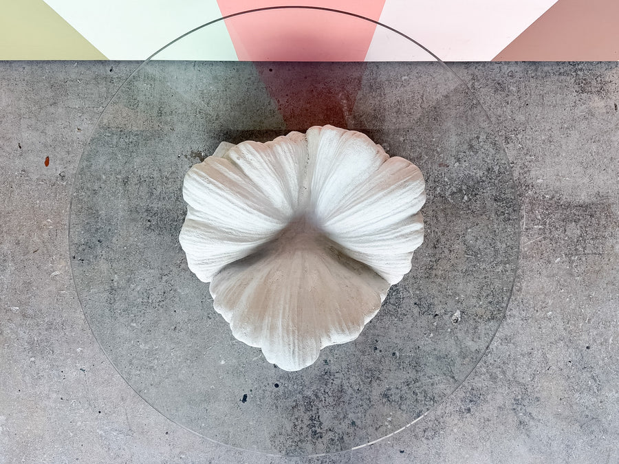 Plaster Shell Coffee Table