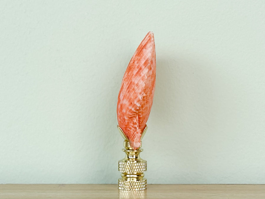 Coral Scallop Shell Finial