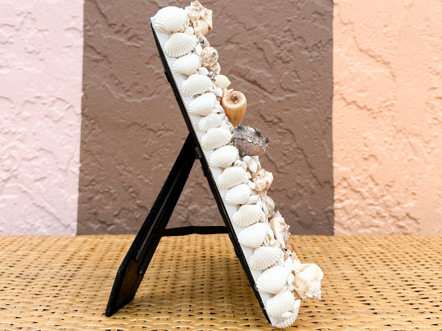 Colorful Shell Frame