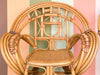 Pair of Rattan Butterfly Lounge Chairs