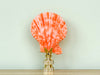 Coral Scallop Shell Finial