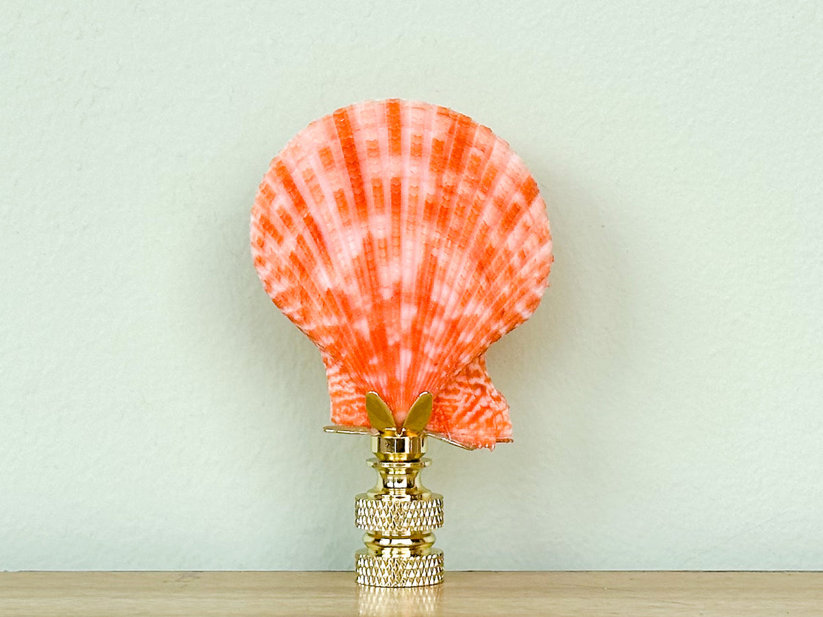 Coral Scallop Shell Finial