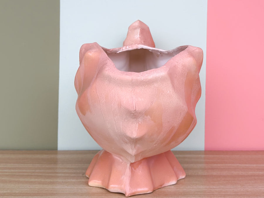Peach Nautilus Shell Cachepot