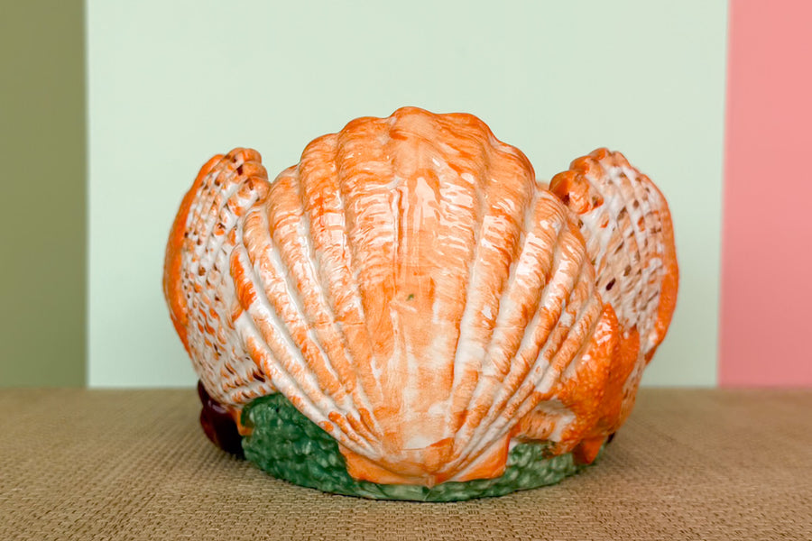 Colorful Seashell Orchid Cachepot