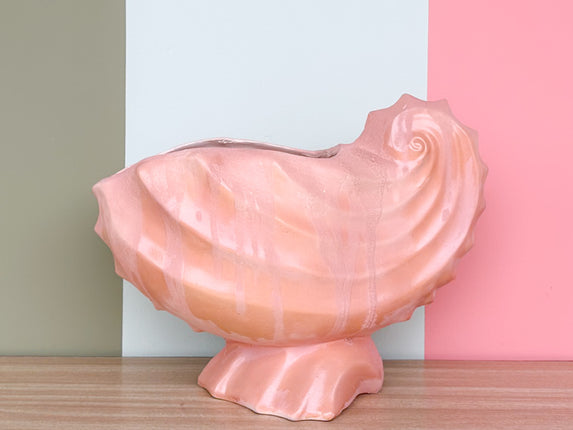 Peach Nautilus Shell Cachepot